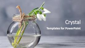  Presentation with winter - Presentation design with winter flower - beautiful bouquet of snowdrops background and a gray colored foreground