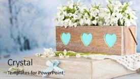  Presentation with spring - Presentation theme enhanced with winter flower - beautiful spring composition with snowdrops background and a soft green colored foreground