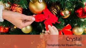  Presentation with christmas holidays - Audience pleasing theme consisting of winter flower - family christmas holidays new year backdrop and a  colored foreground