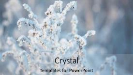  Presentation with ice crystals - Slide deck enhanced with winter flower - frozen plants with ice crystals background and a light blue colored foreground