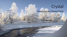  Presentation with tree river - Presentation theme having winter flower - snow tree on coast river background and a light blue colored foreground