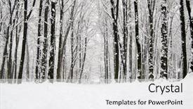  Presentation with forest road - Beautiful theme featuring winter forest and the road backdrop and a white colored foreground
