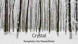  Presentation with forest road - Slides with winter forest and the road background and a  colored foreground