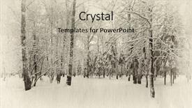  Presentation with forest winter - Colorful slide set enhanced with winter forest covered with snow retro illustration backdrop and a mint green colored foreground