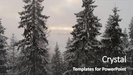  Presentation with winter forest - Audience pleasing presentation consisting of winter forest in high mountain backdrop and a dark gray colored foreground