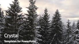  Presentation with top view of appetizing fresh - Cool new presentation theme with winter forest in high mountain backdrop and a dark gray colored foreground