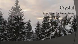  Presentation with winter forest - PPT theme consisting of winter forest in high mountain background and a light gray colored foreground