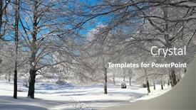  Presentation with winter forest - Presentation having winter-forest-in-mountains background and a gray colored foreground