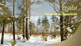  Presentation with forest winter - 