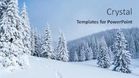  Presentation with snow day - Colorful PPT layouts enhanced with winter forest in snow mountain landscape with a footpath sunny day and frosty weather backdrop and a light blue colored foreground