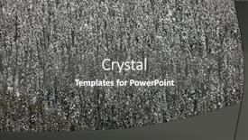  Presentation with forest winter - 