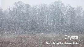  Presentation with dark forest landscape - Theme enhanced with winter forest landscape heavy snowfall taken with telephoto lens dark background concept background and a gray colored foreground