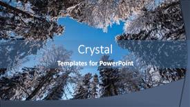  Presentation with worm - Presentation design enhanced with winter-forest-landscape-in-worm background and a teal colored foreground