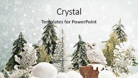  Presentation with winter forest - Presentation having winter forest landscape with owl and snow christmas background background and a white colored foreground