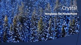  Presentation with wilderness - Presentation with winter-forest-of-pine-trees background and a ocean colored foreground