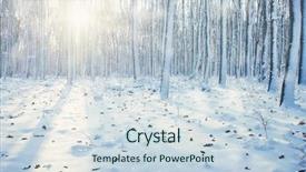  Presentation with snow tree - Beautiful presentation theme featuring winter forest on sun backdrop and a sky blue colored foreground