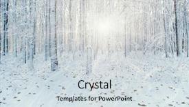  Presentation with snow tree - Cool new slides with winter forest on sun backdrop and a sky blue colored foreground