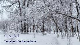  Presentation with winter forest - Presentation theme with winter-forest-park-landscape background and a lemonade colored foreground