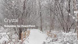  Presentation with winter forest - Beautiful theme featuring winter-forest-park-scenery backdrop and a gray colored foreground