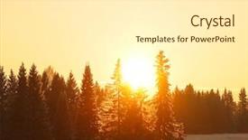  Presentation with pine trees sun shining through - Theme enhanced with winter forest with pine tree background and a white colored foreground