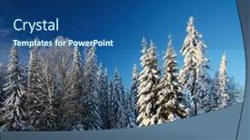  Presentation with pine trees - 