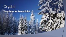  Presentation with pine trees - 