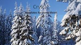  Presentation with pine trees - 