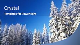  Presentation with pine trees - 