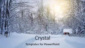  Presentation with winter forest - Amazing slides having winter forest with road backdrop and a light blue colored foreground