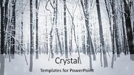  Presentation with winter forest - Presentation enhanced with winter forest with snow on trees and floor background and a lemonade colored foreground