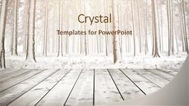 Presentation with wood planks - Amazing PPT theme having winter forest with trees covered backdrop and a  colored foreground