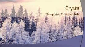  Presentation with winter forest - Presentation featuring vegetarian dish with garlic bread background and a soft green colored foreground