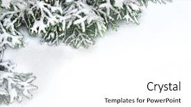  Presentation with framework - Colorful slides enhanced with winter frame - snow fir tree branches backdrop and a  colored foreground