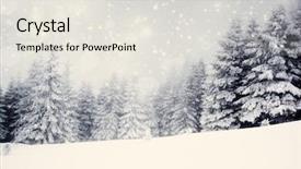  Presentation with vintage christmas - Audience pleasing presentation theme consisting of winter frame - vintage photo of christmas background backdrop and a sky blue colored foreground