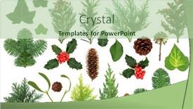  Presentation with flora fauna - Colorful PPT layouts enhanced with winter-greenery-with-natural-flora backdrop and a mint green colored foreground