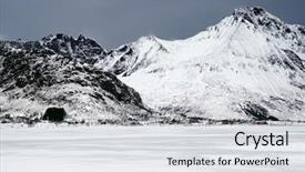  Presentation with winter landscape winter tree - Cool new presentation design with winter harsh landscape in lofoten backdrop and a  colored foreground