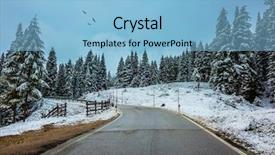  Presentation with birds flying - Audience pleasing slides consisting of winter has come wet road in the mountains among the snow-covered firs and pines birds flying in the snow under the low clouds backdrop and a light blue colored foreground