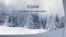  Presentation with snow covered trees and falling - PPT theme having winter holiay blue - christmas background with snowy fir background and a light gray colored foreground