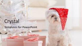  Presentation with dog christmas - PPT layouts featuring winter holidays - cute little dog maltese sitting background and a lemonade colored foreground