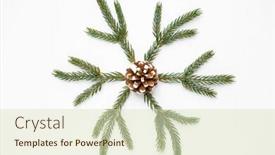  Presentation with pine cone - Slide deck having winter holidays christmas and decorations concept - snowflake shape made of fir branches and pine cone on white background background and a soft green colored foreground