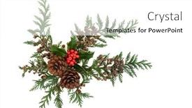  Presentation with pine cone - Slides enhanced with winter-holly-cedar-cypress-leaves background and a white colored foreground