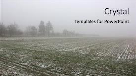  Presentation with snow blizzard in winter - Slides consisting of winter in field with fog background and a sky blue colored foreground