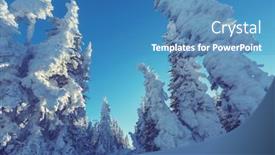  Presentation with montana - 