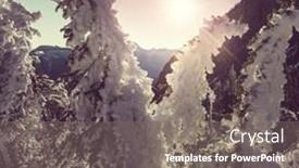  Presentation with montana - 