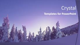  Presentation with montana - 