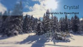  Presentation with montana - 