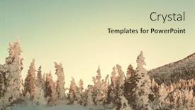  Presentation with montana - 