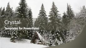  Presentation with pine forest - Theme enhanced with winter-in-pine-forest-forest background and a dark gray colored foreground