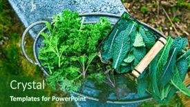  Presentation with vegetable garden - Presentation design featuring winter-kale-vegetables-cold-resistant background and a forest green colored foreground