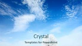  Presentation with blue sky - Slide set consisting of winter land - alone frozen tree and blue background and a sky blue colored foreground